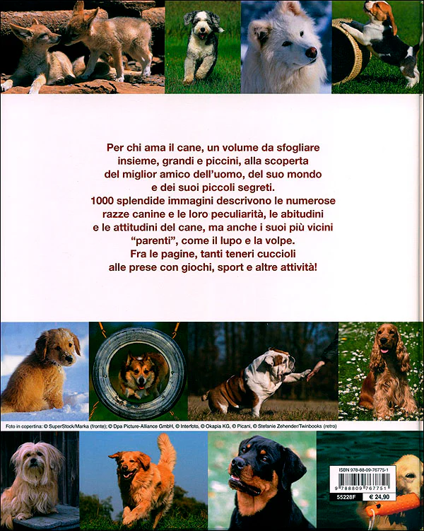 Immagine prodotto 2