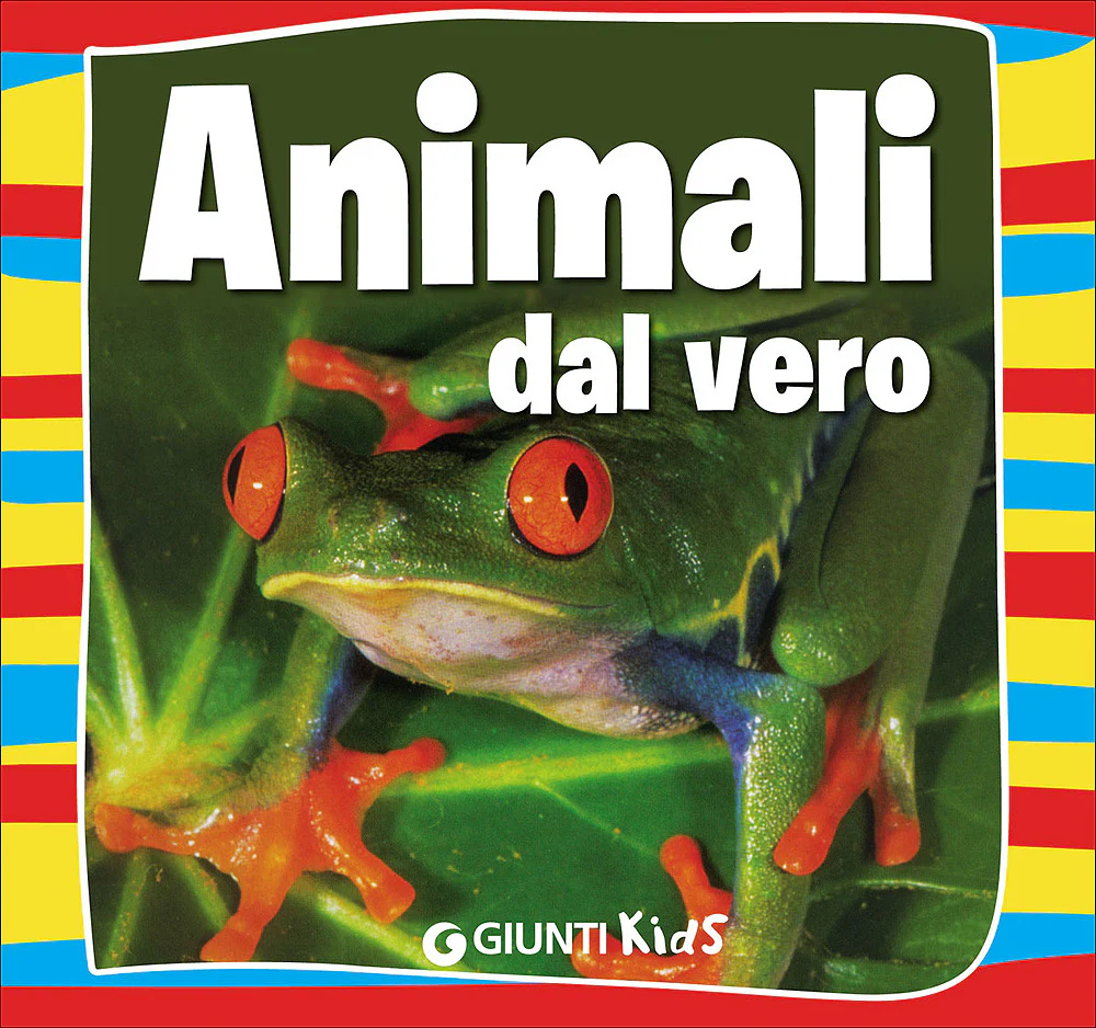 Immagine prodotto 1