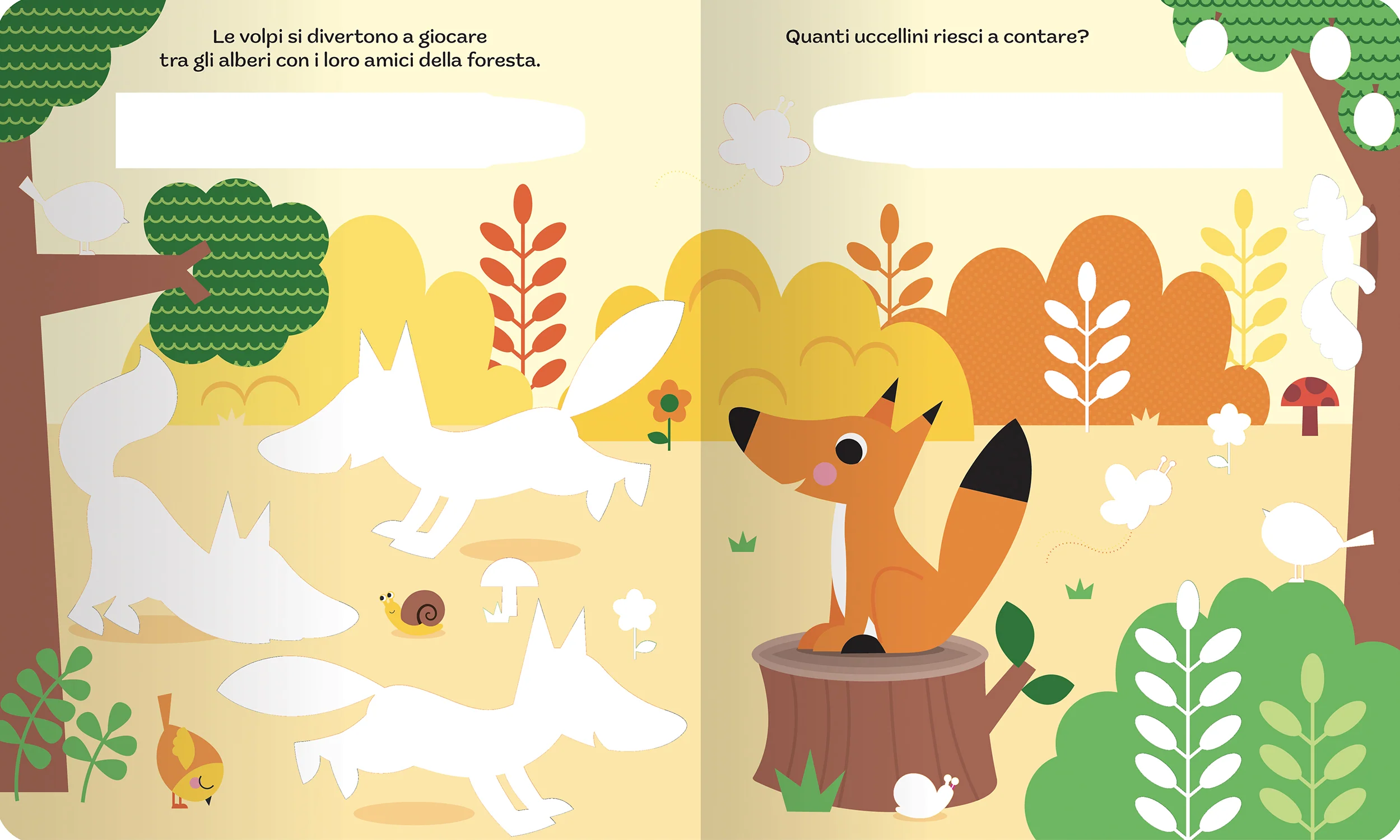 Immagine prodotto 5