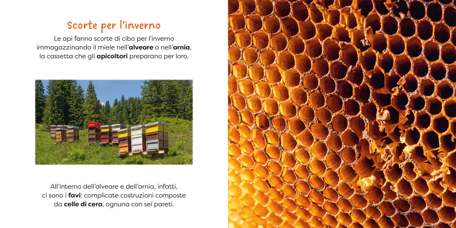 Immagine prodotto 4