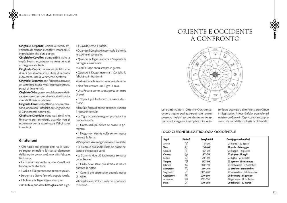 Immagine prodotto 6