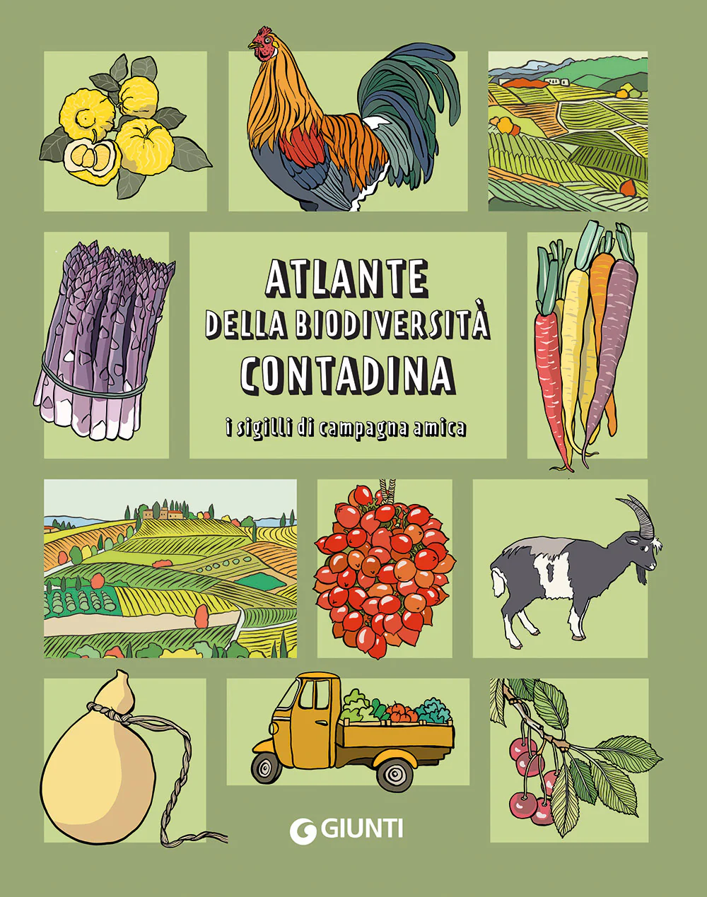 Immagine prodotto 1