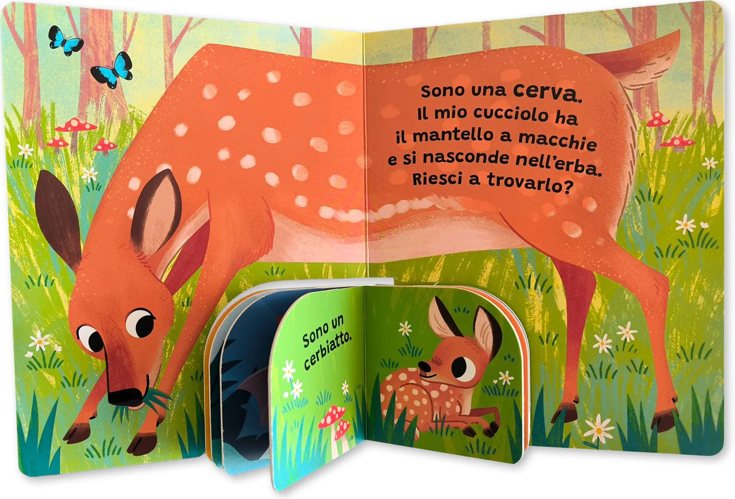 Immagine prodotto 3