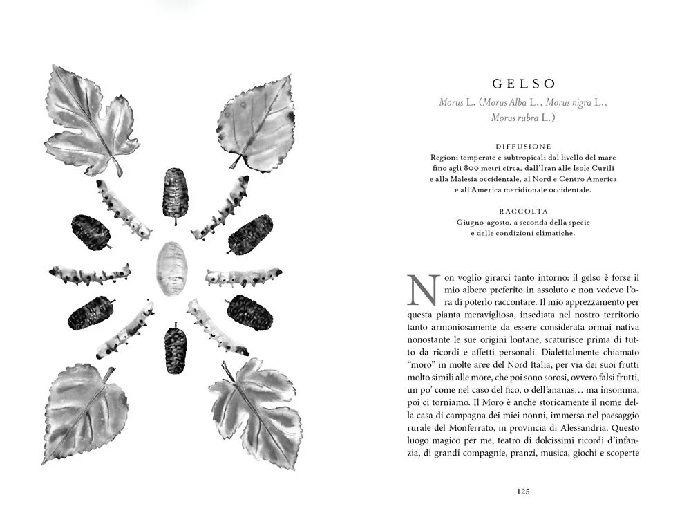Immagine prodotto 5