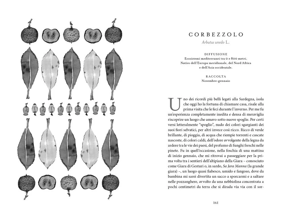 Immagine prodotto 6