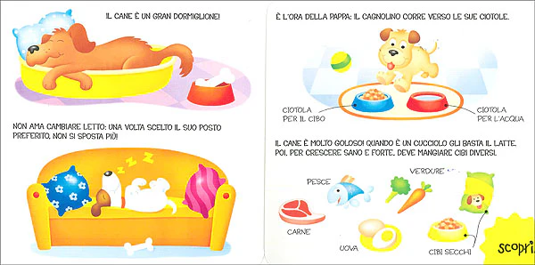 Immagine prodotto 4