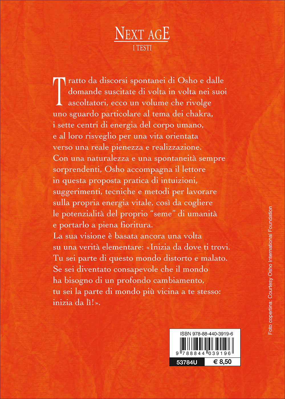Immagine prodotto 2