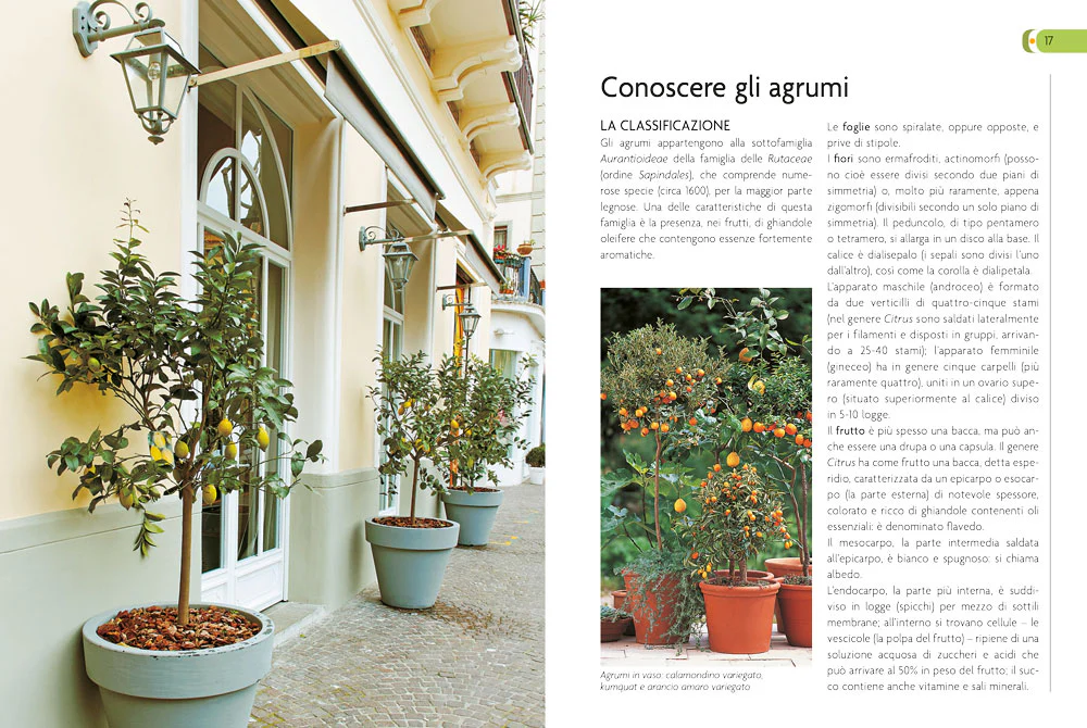 Immagine prodotto 3