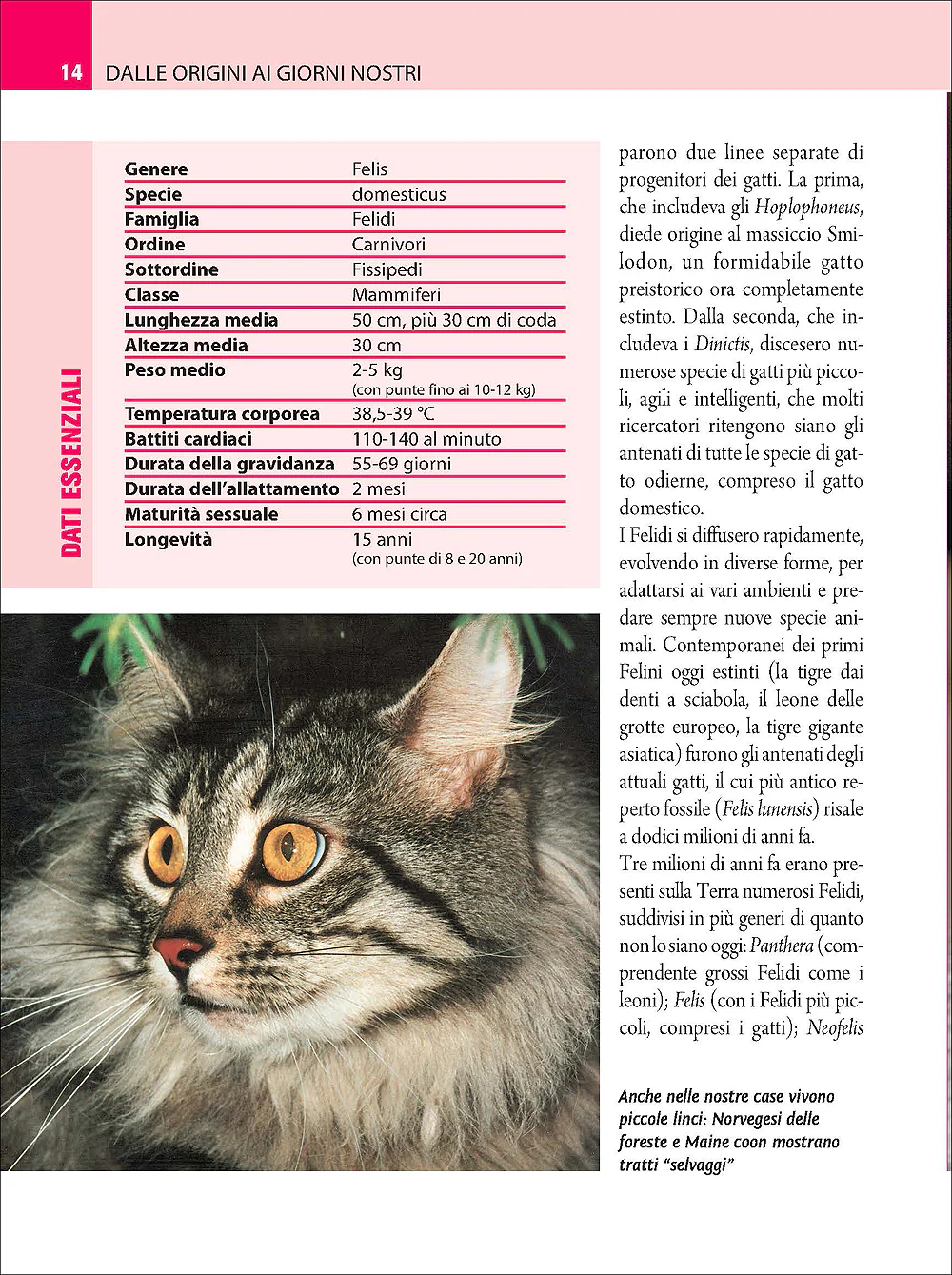 Immagine prodotto 3