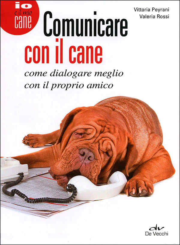 Immagine prodotto 1