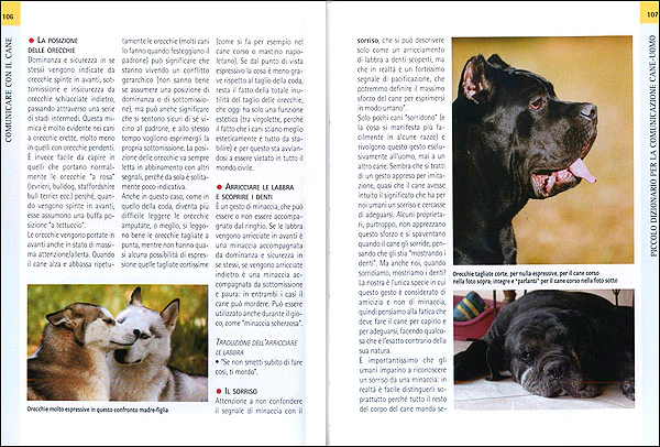 Immagine prodotto 3
