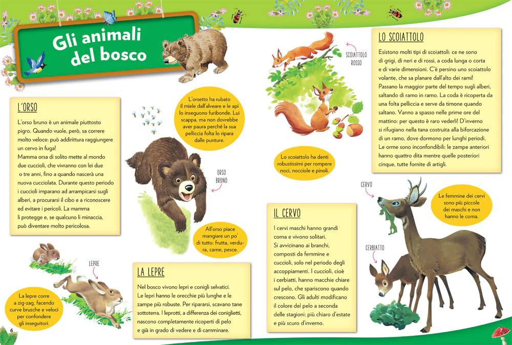 Immagine prodotto 5
