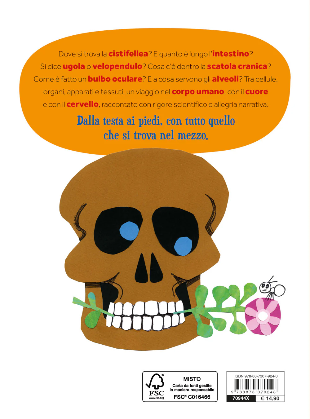 Immagine prodotto 2
