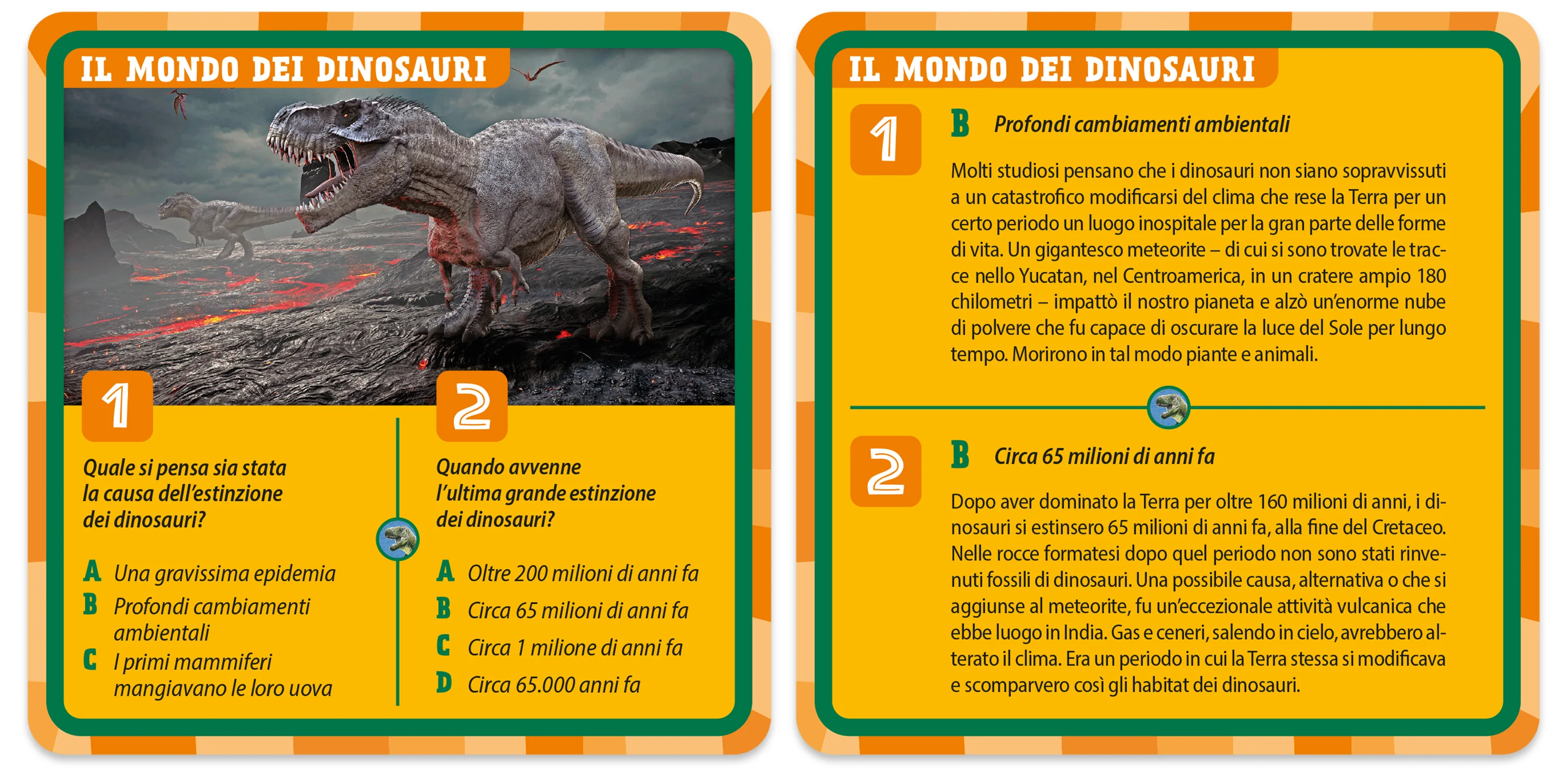 Immagine prodotto 4