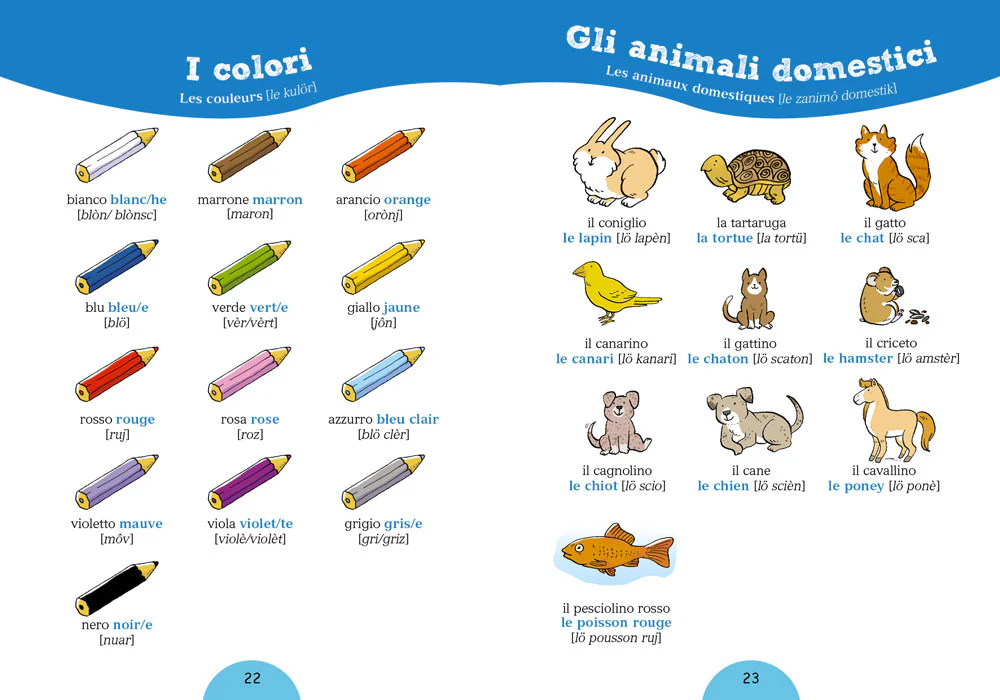 Immagine prodotto 4