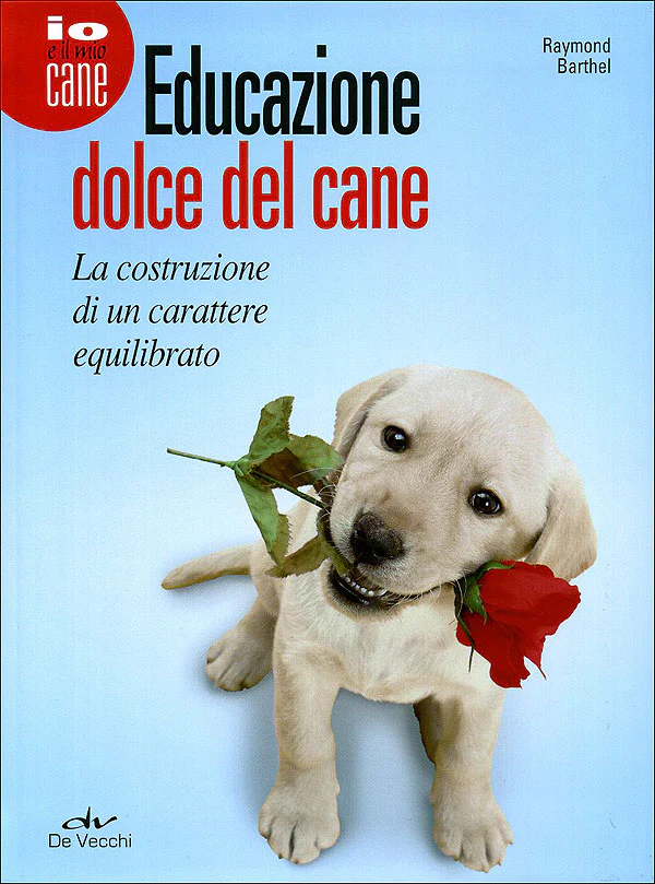 Immagine prodotto 1