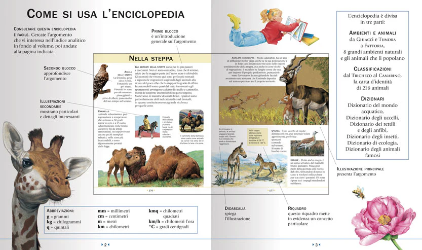 Immagine prodotto 3