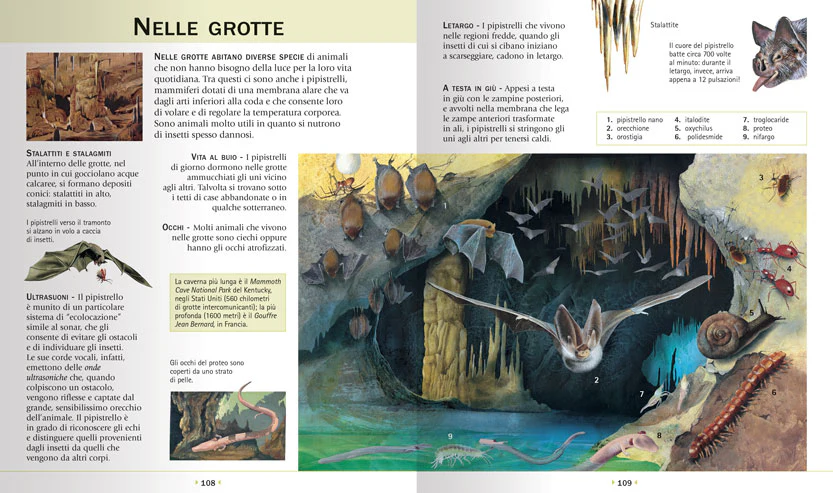 Immagine prodotto 4