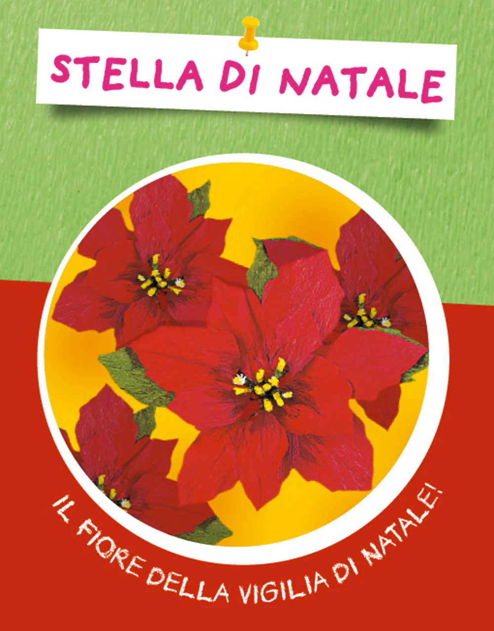Immagine prodotto 6