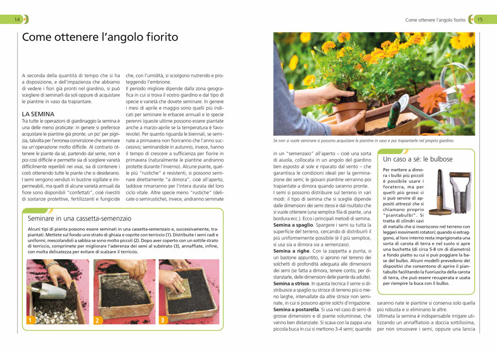 Immagine prodotto 3