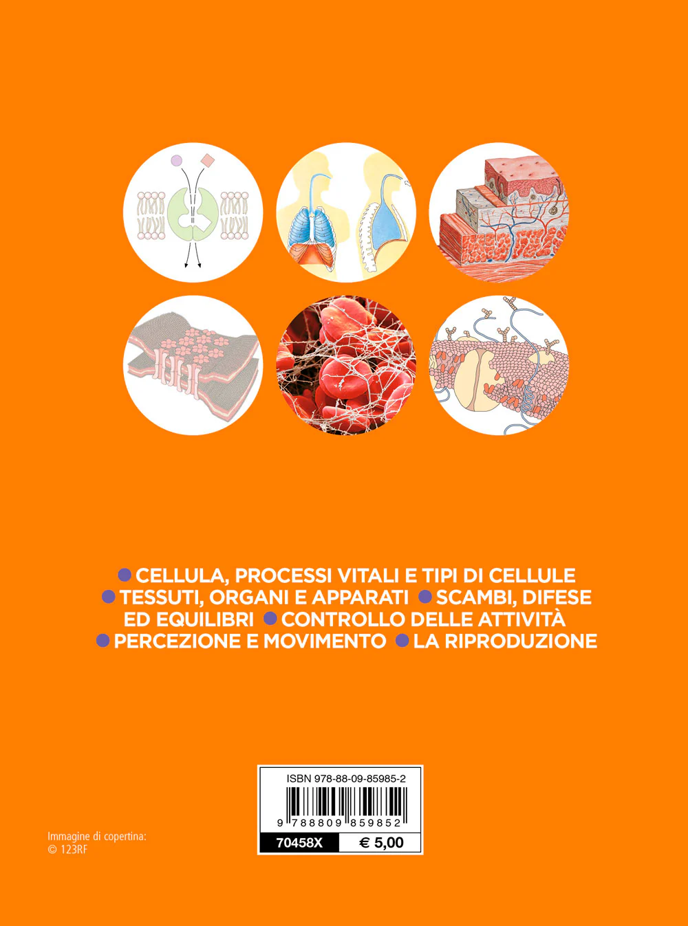 Immagine prodotto 2