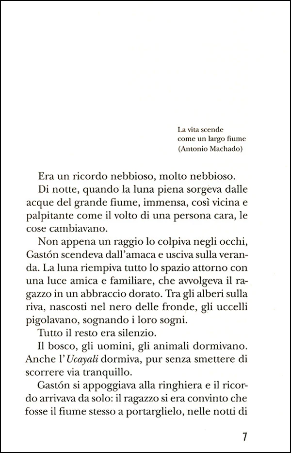 Immagine prodotto 3