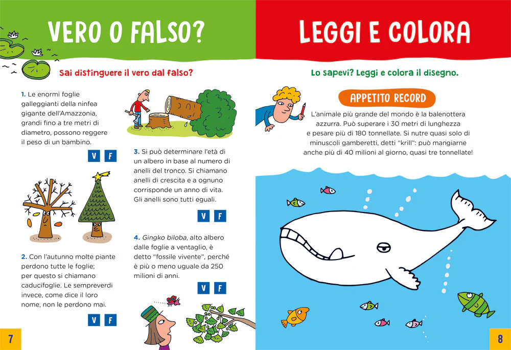 Immagine prodotto 3