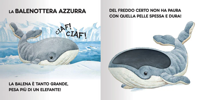Immagine prodotto 3