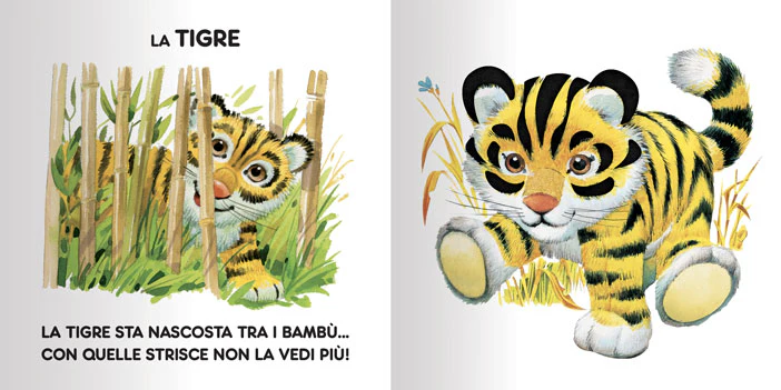 Immagine prodotto 4