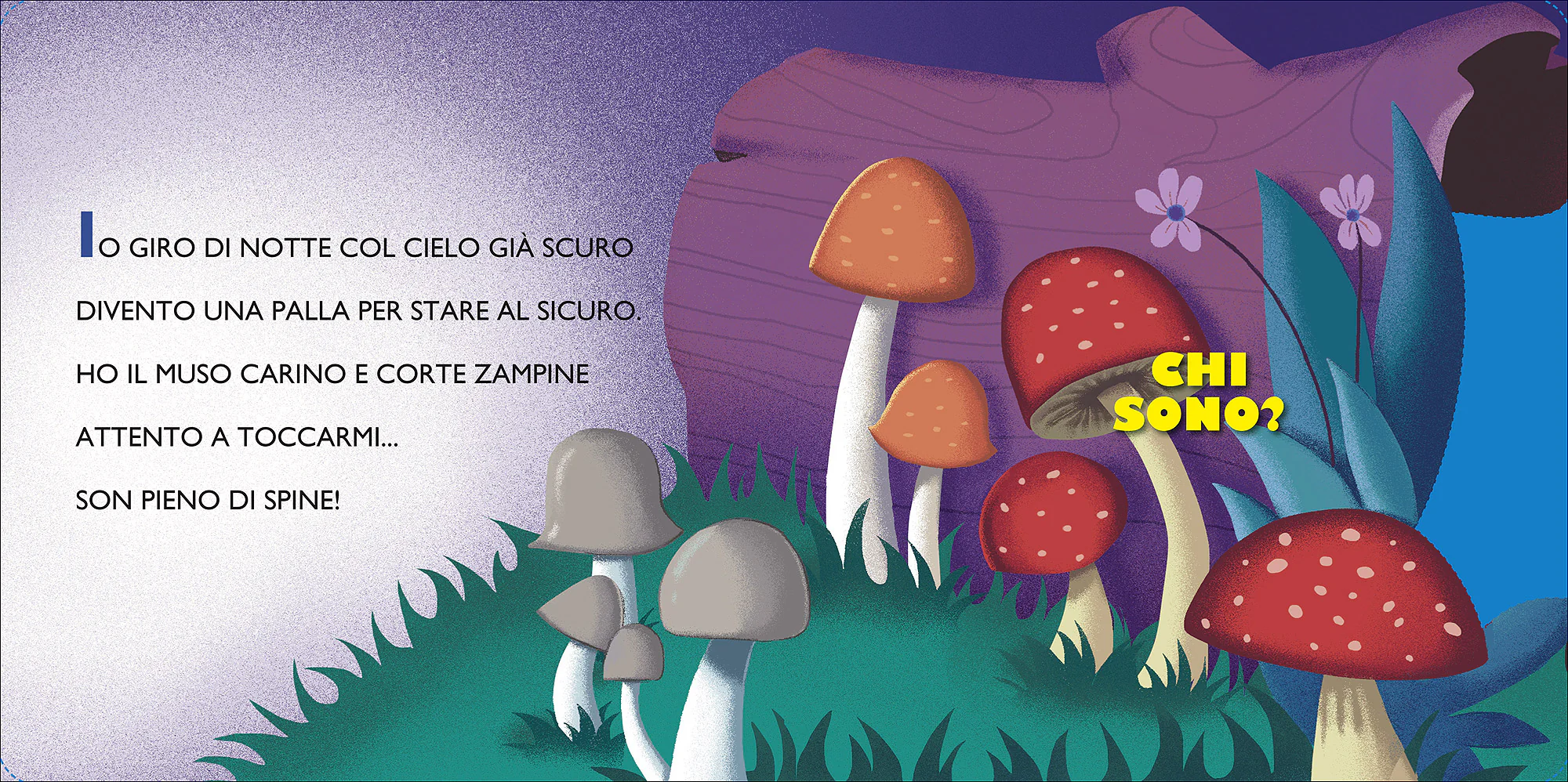 Immagine prodotto 3
