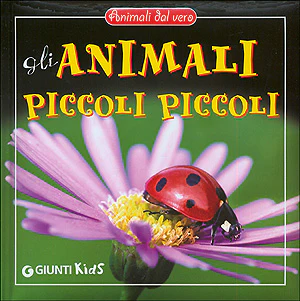 Immagine prodotto 1