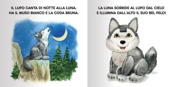 Immagine prodotto 5