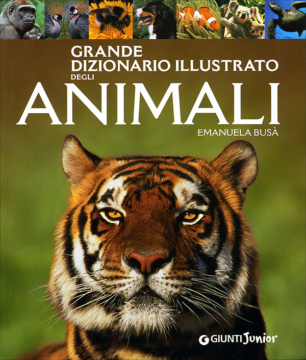 Immagine prodotto 1