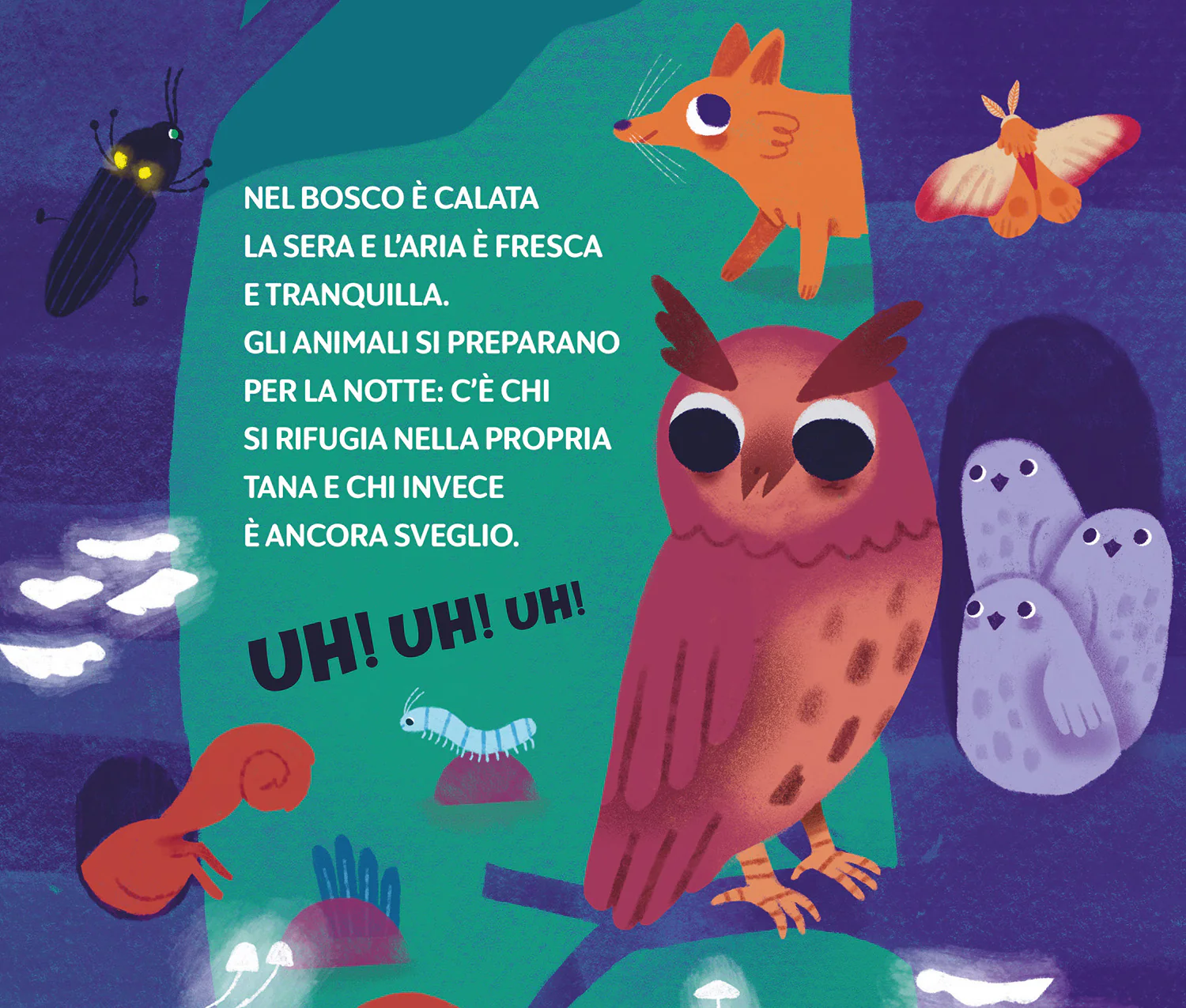 Immagine prodotto 4