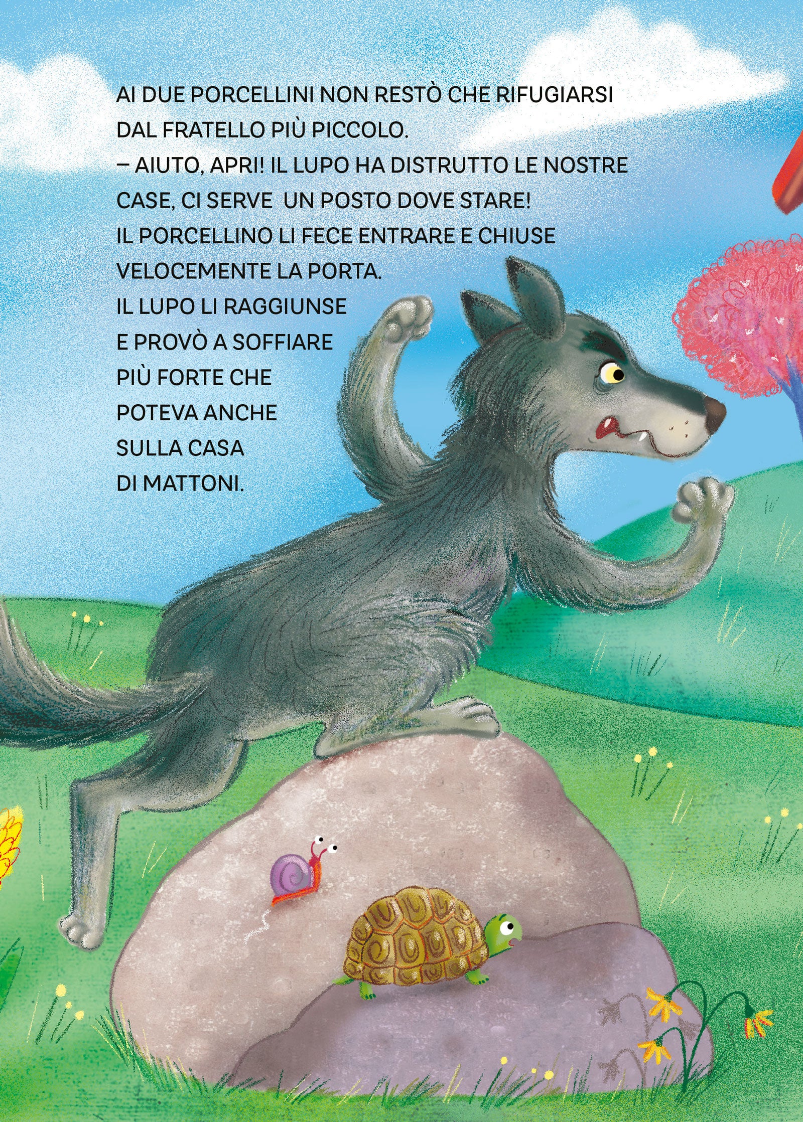 Immagine prodotto 5