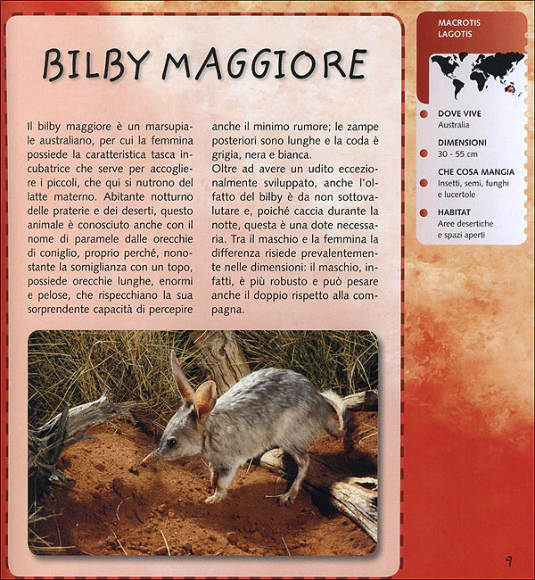Immagine prodotto 3