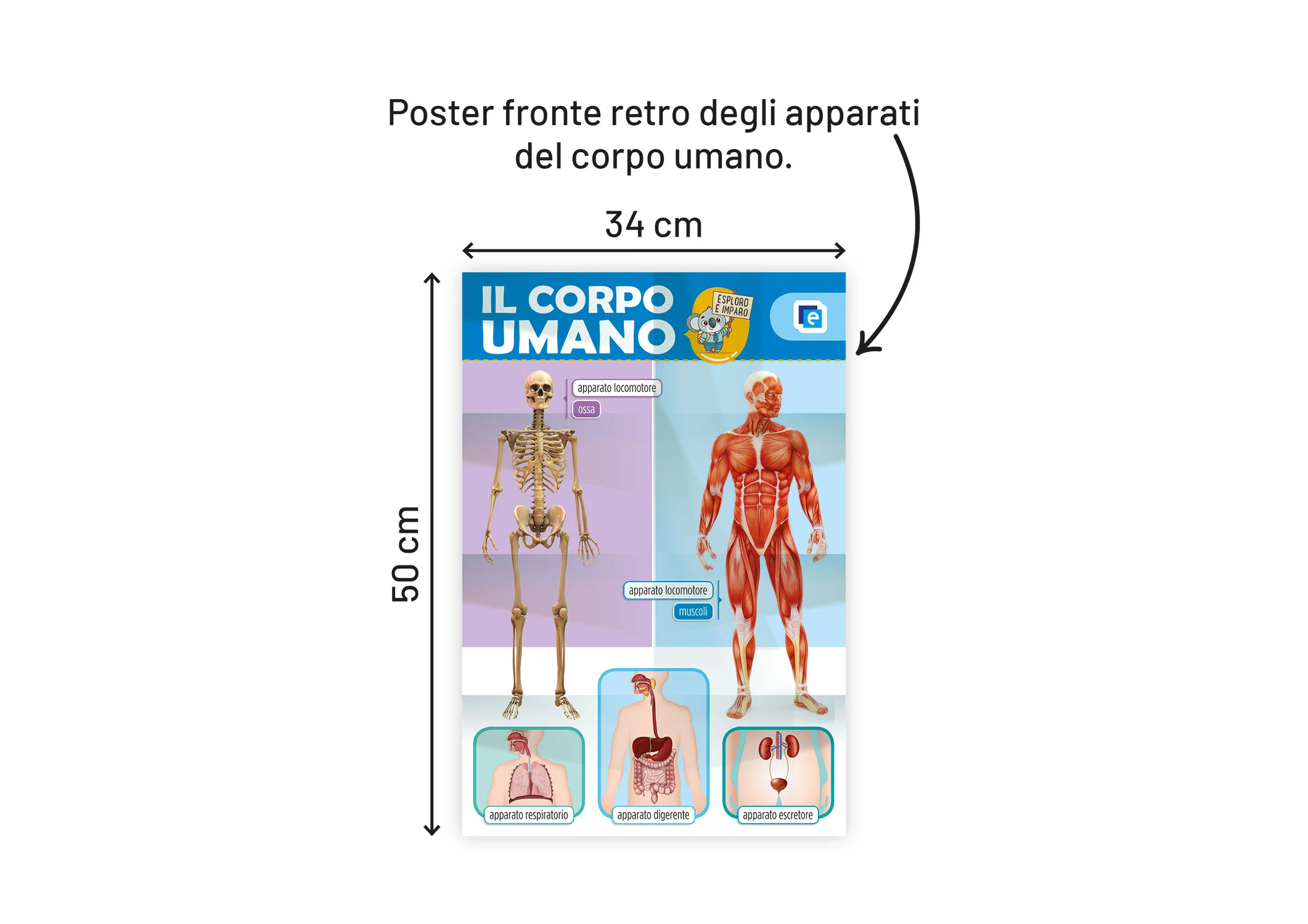 Immagine prodotto 2