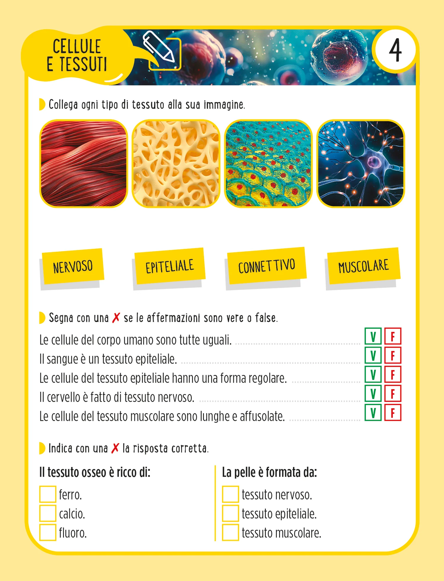 Immagine prodotto 6