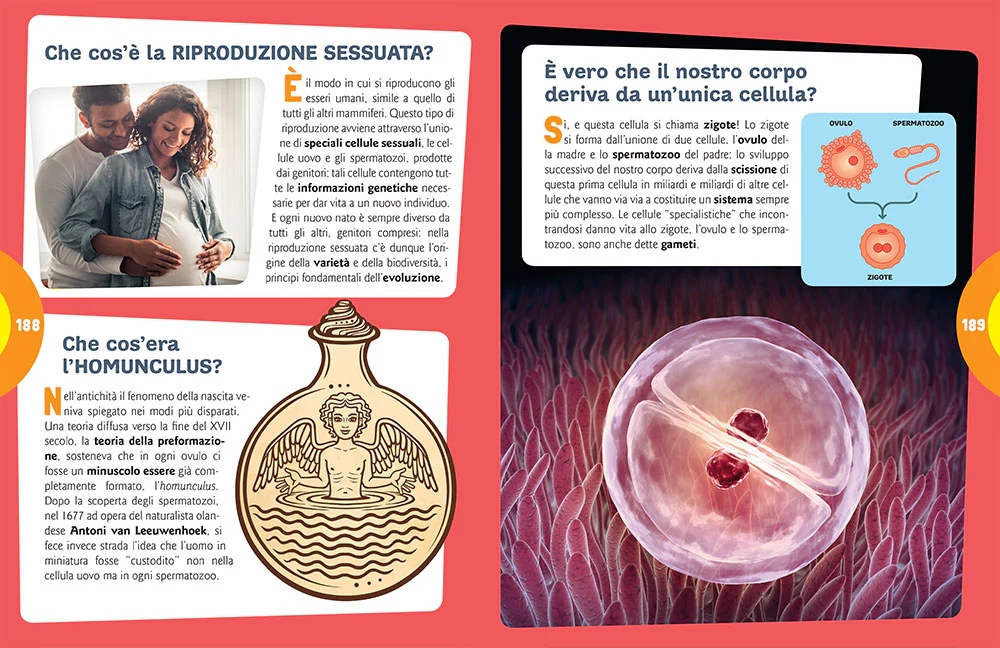 Immagine prodotto 3