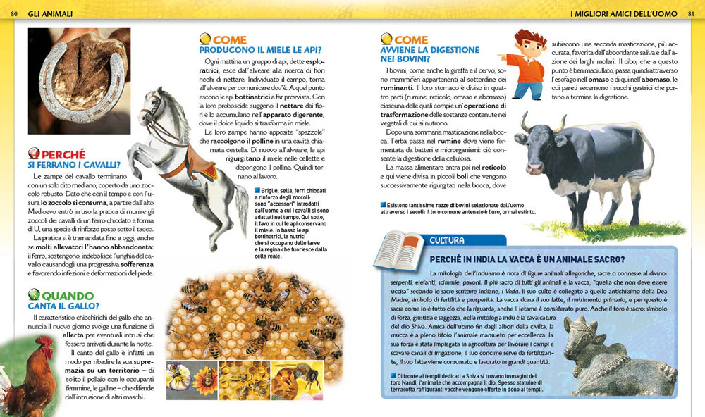 Immagine prodotto 4