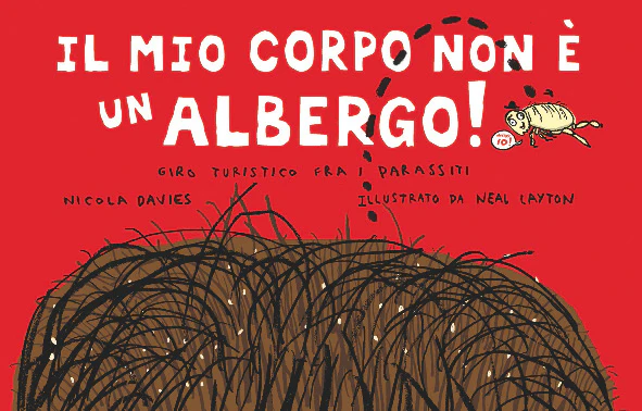 Immagine prodotto 1