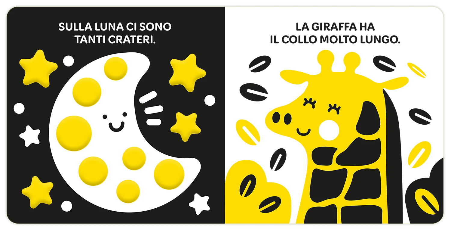 Immagine prodotto 4