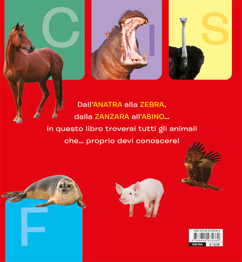 Immagine prodotto 2