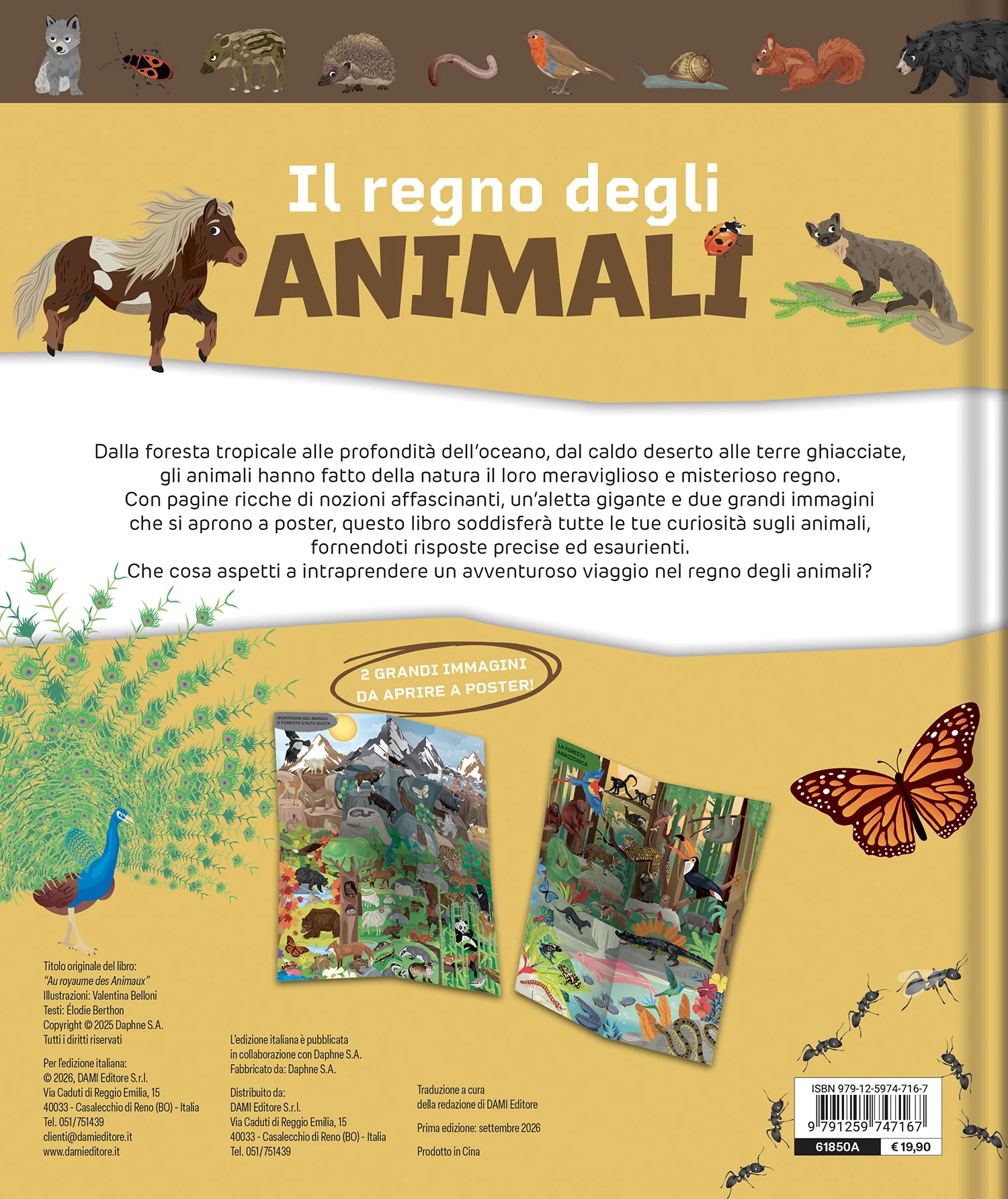 Immagine prodotto 2