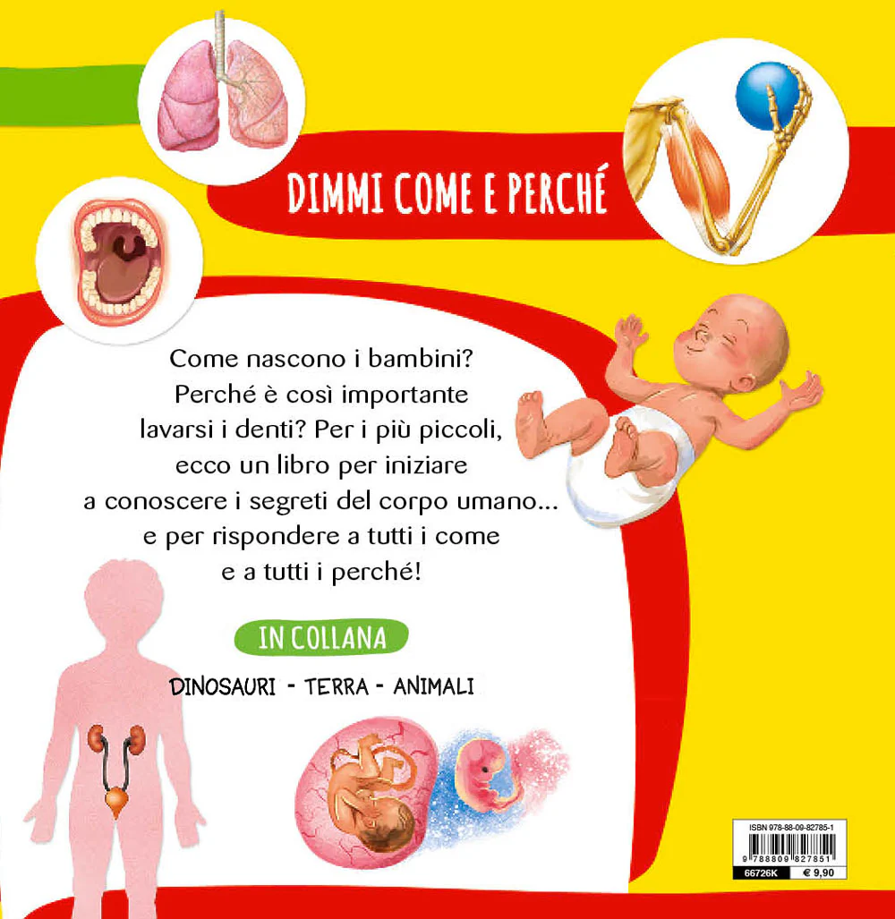 Immagine prodotto 2