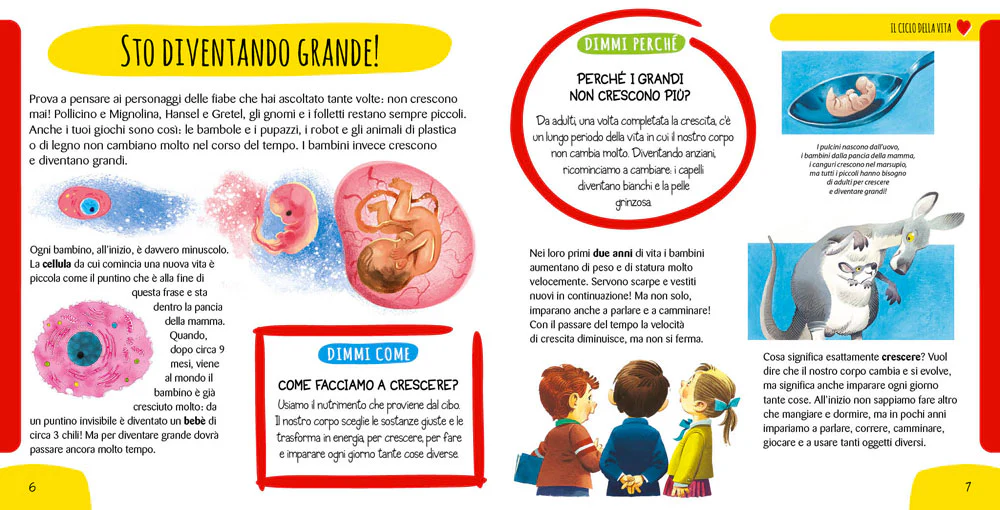 Immagine prodotto 3