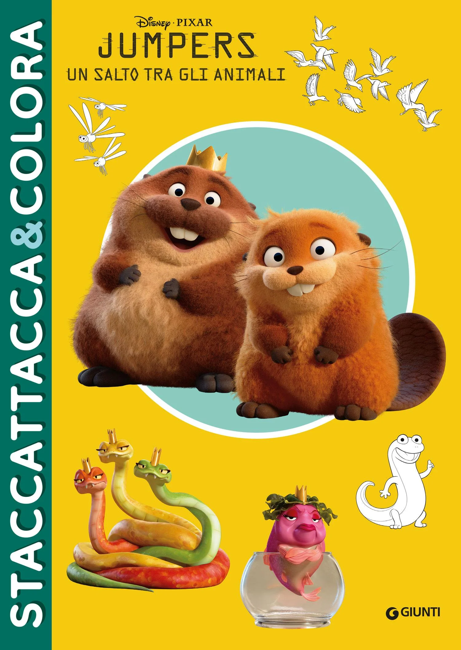 Immagine prodotto 1
