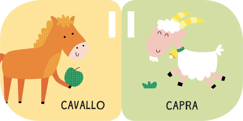 Immagine prodotto 2