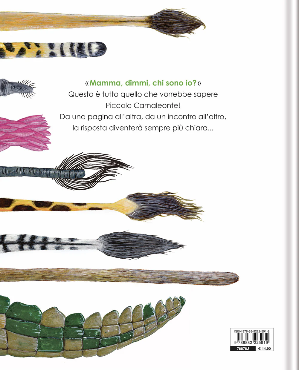 Immagine prodotto 2