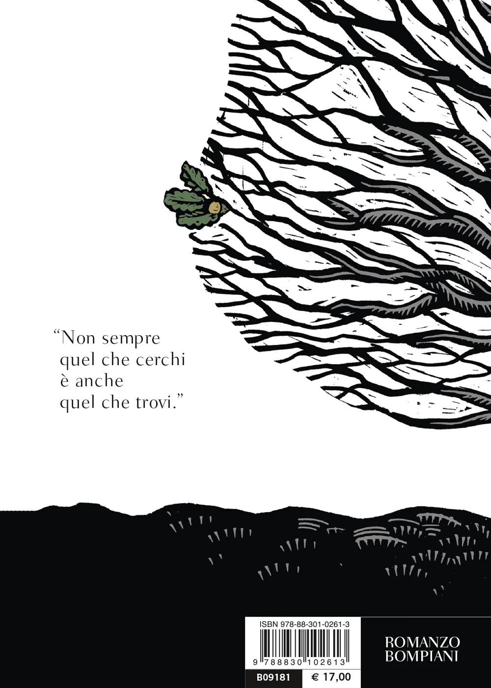 Immagine prodotto 2